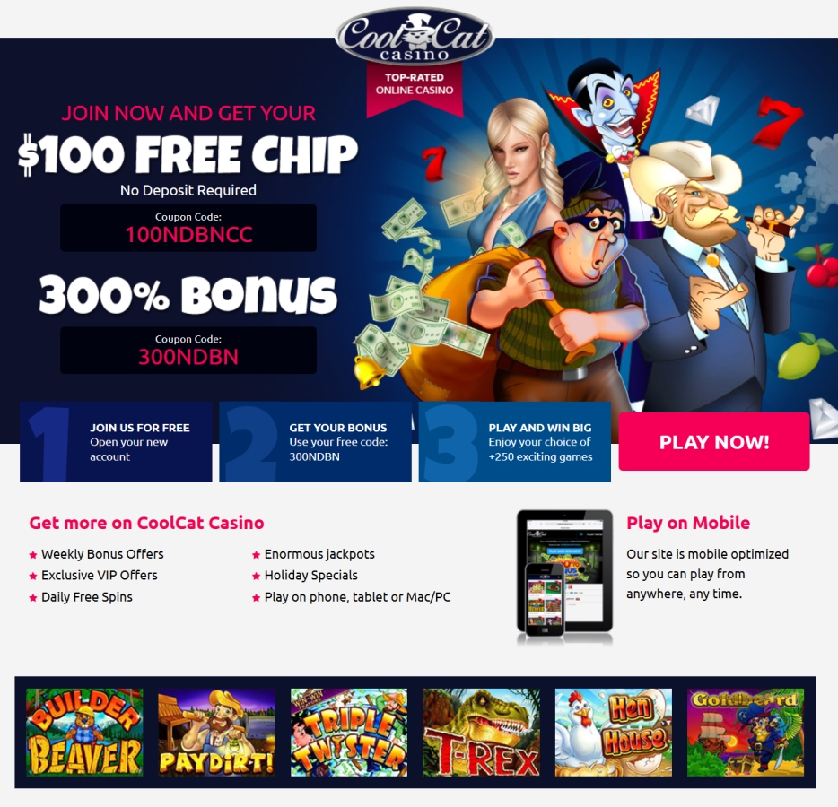 coolcatcasino com online casino