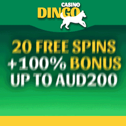 CasinoDingo 100% bonus